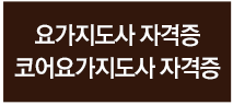 전문요가자격증반